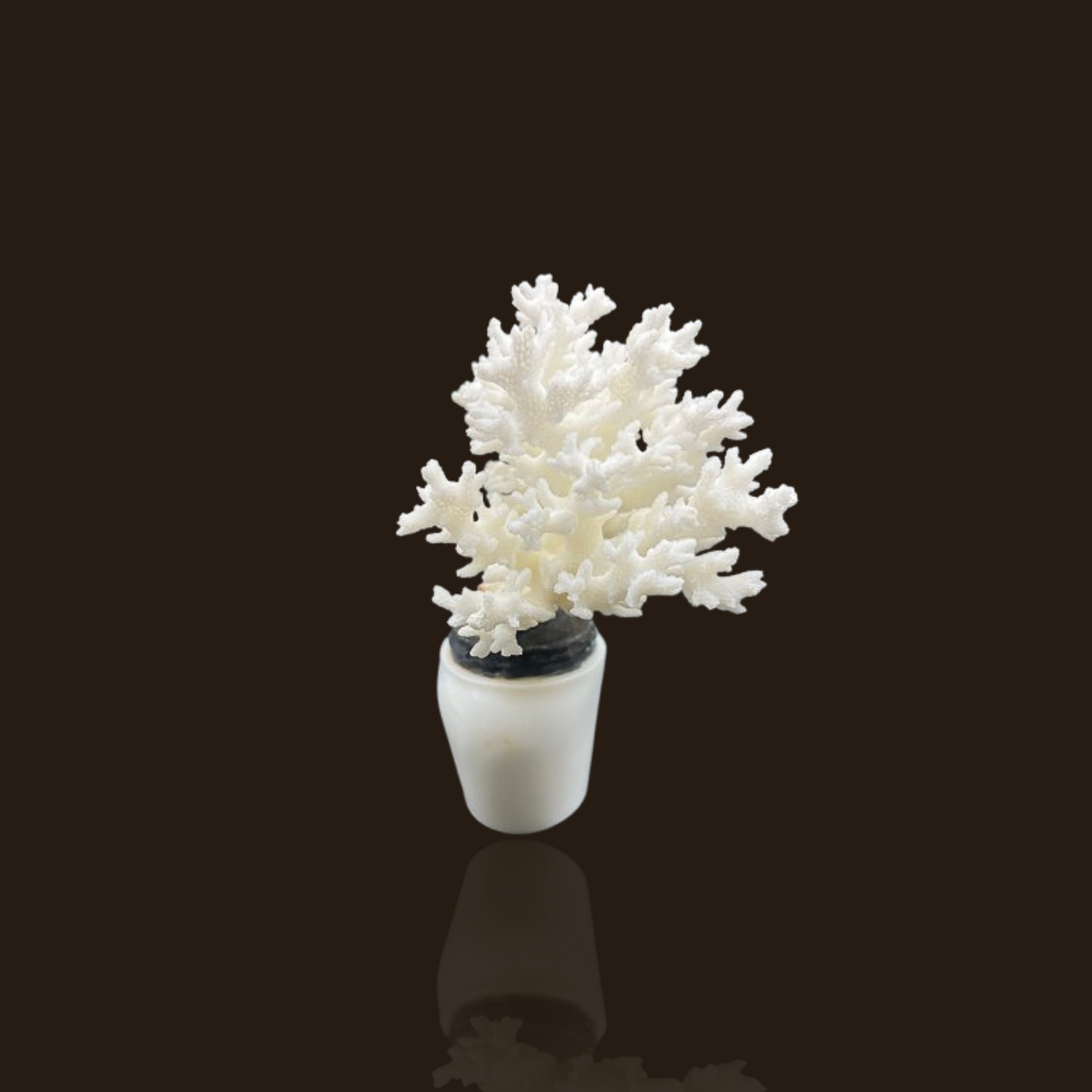 White Glass Bottle With Lace Coral