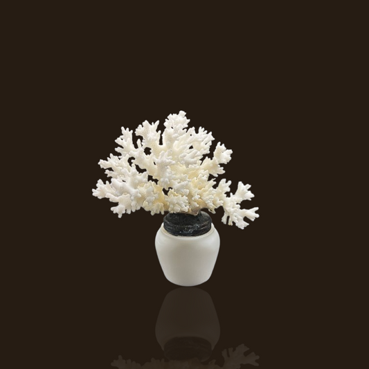 White Glass Bottle With Lace Coral