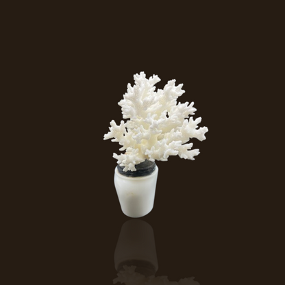 White Glass Bottle With Lace Coral