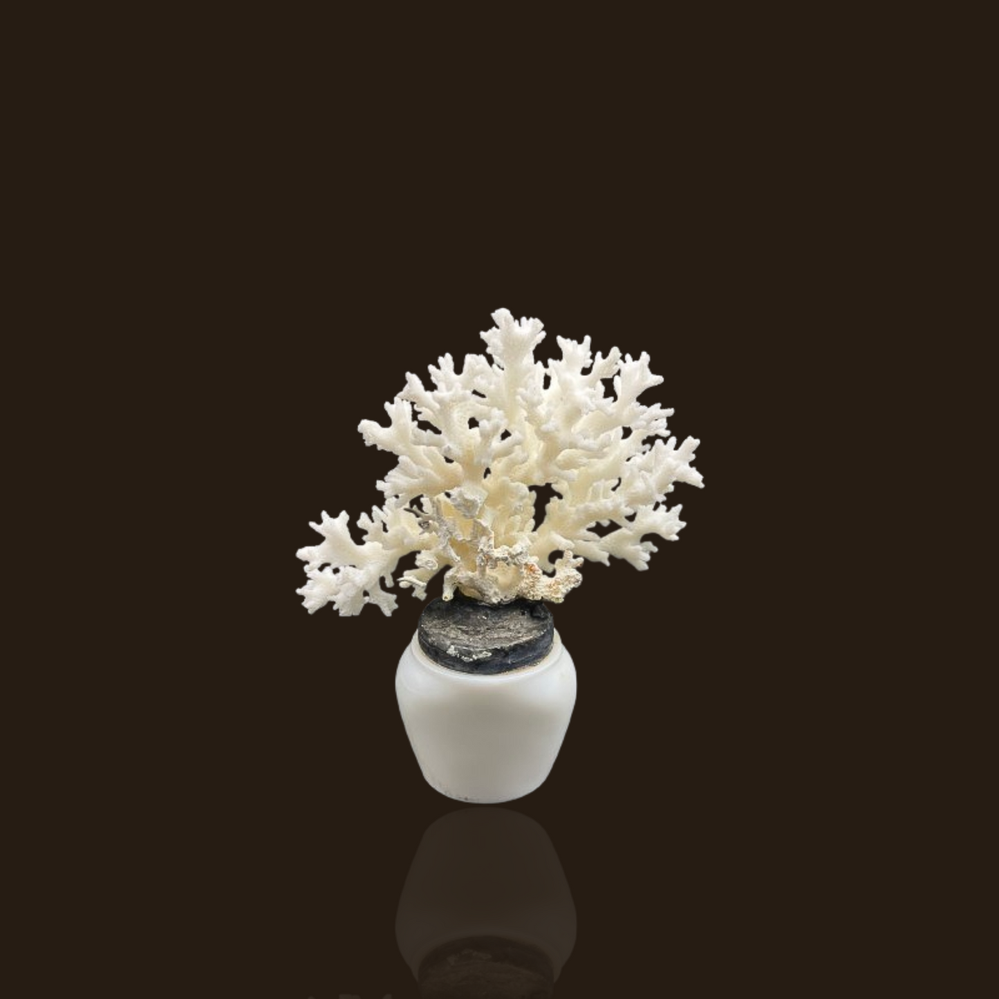 White Glass Bottle With Lace Coral