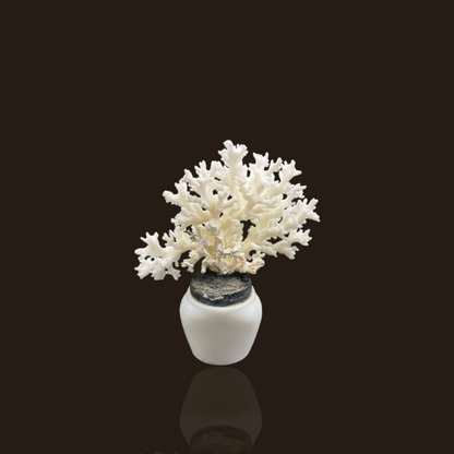 White Glass Bottle With Lace Coral